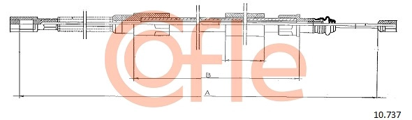 10737