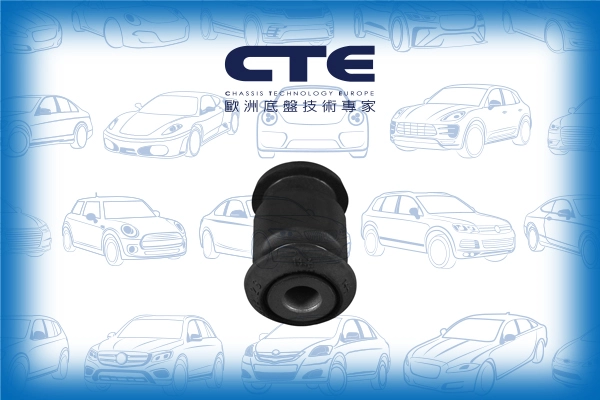CBH22021