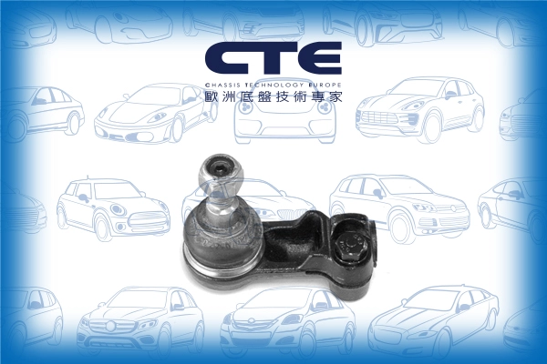 CTE31001L