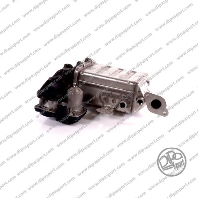 EGR313CN