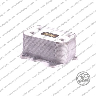 RAO025VIKN
