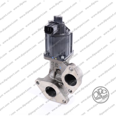 EGR251N