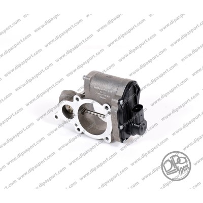 EGR398N