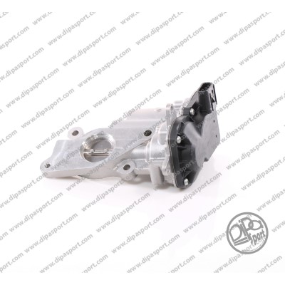 EGR335N