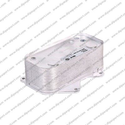 RAO061N