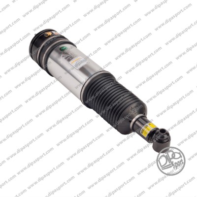 SSAS02687N
