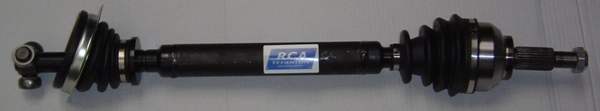 R392A