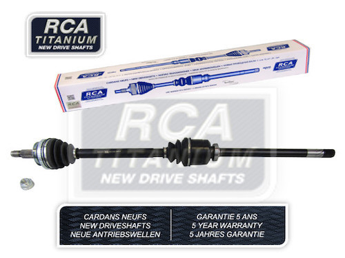 R291AN