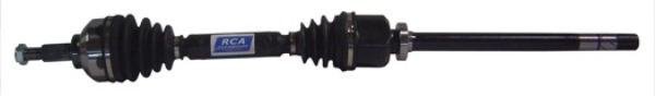 R395A