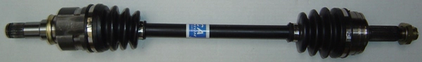 C310