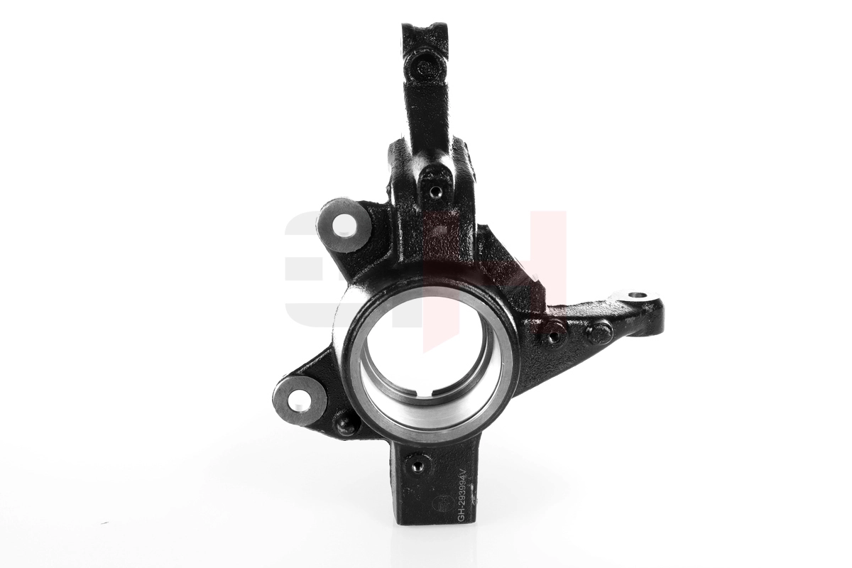 GH-293994V