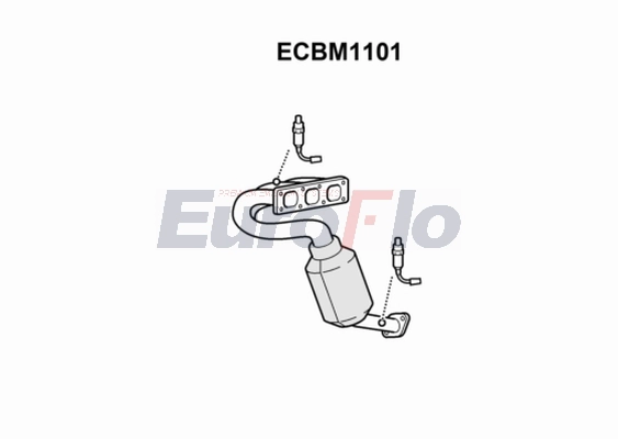 ECBM1101