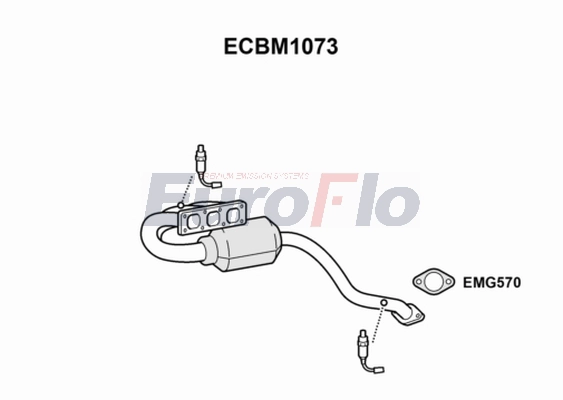 ECBM1073