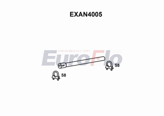 EXAN4005