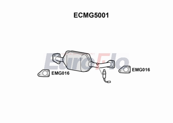 ECMG5001