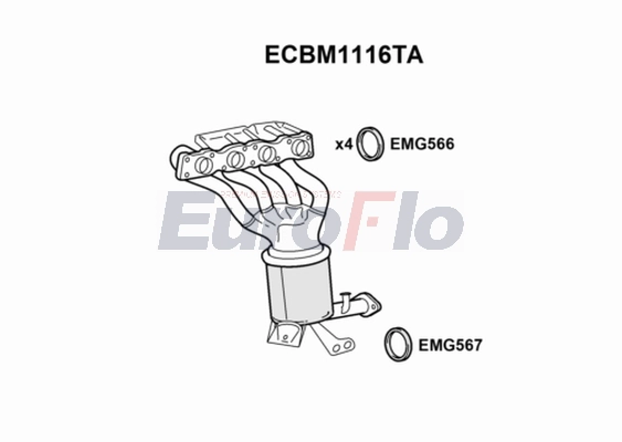 ECBM1116TA