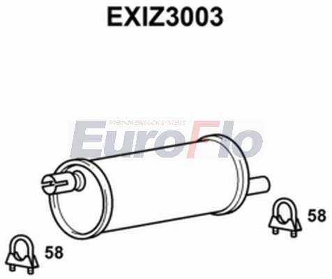 EXIZ3003