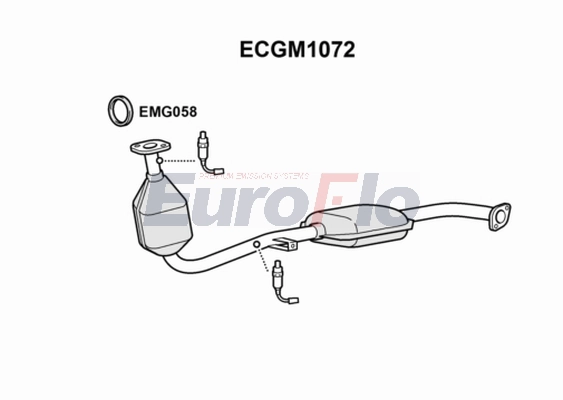 ECGM1072