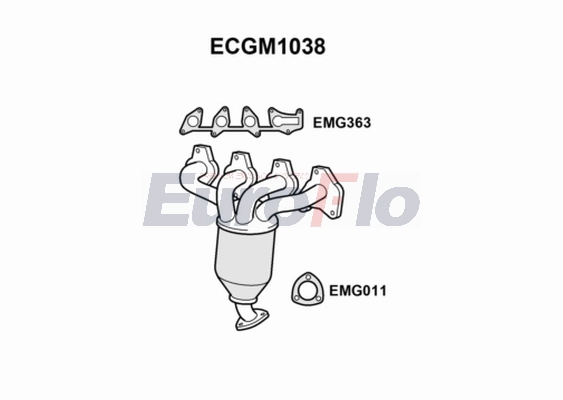 ECGM1038