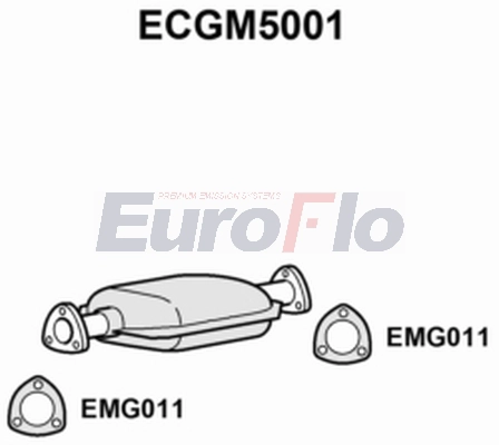 ECGM5001