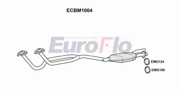 ECBM1004