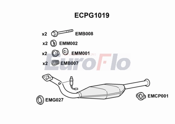 ECPG1019