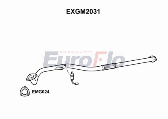 EXGM2031