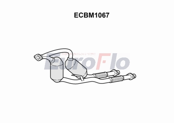 ECBM1067
