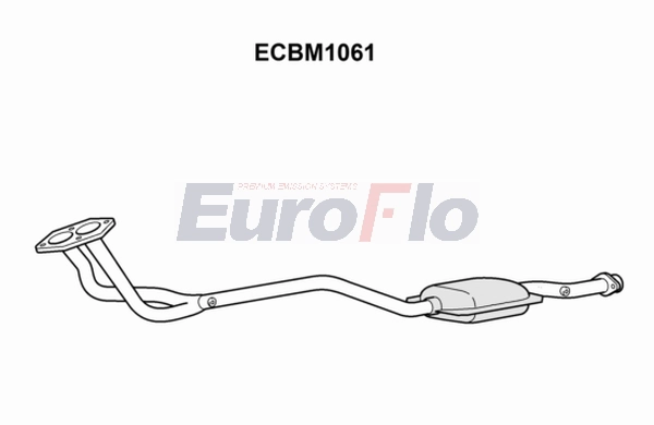 ECBM1061