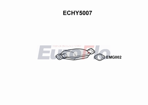 ECHY5007