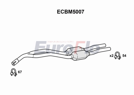 ECBM5007
