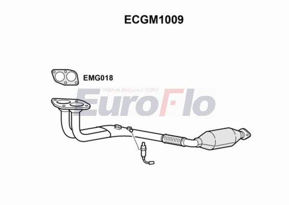 ECGM1009