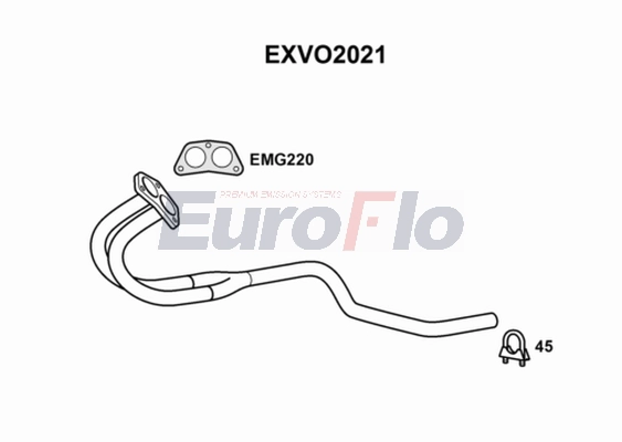 EXVO2021