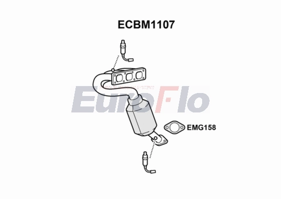 ECBM1107