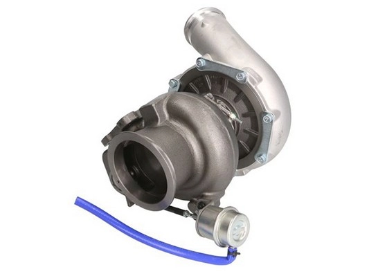 110126OEM