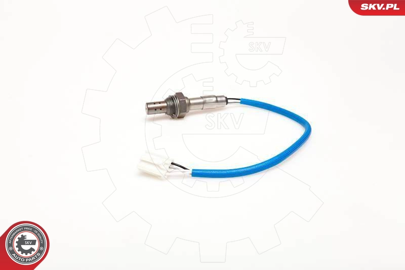 09SKV044