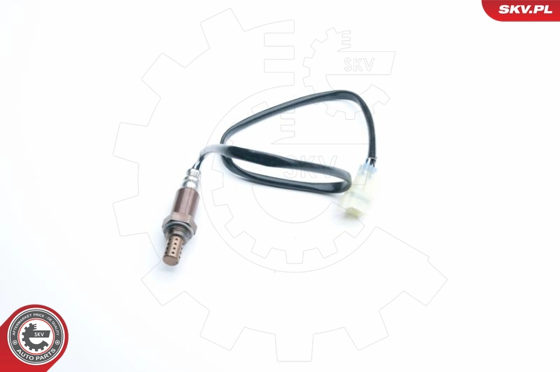 09SKV092