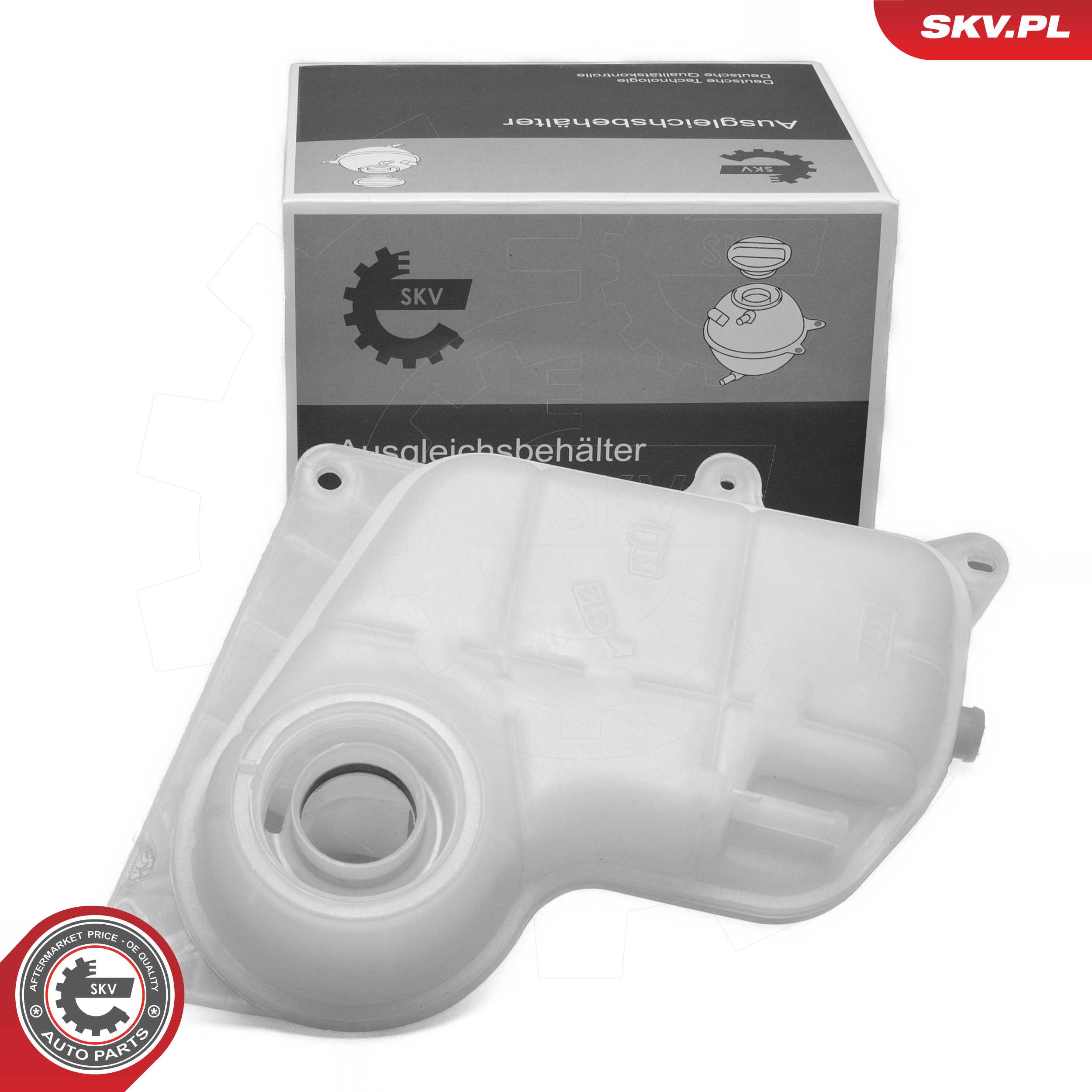 61SKV303