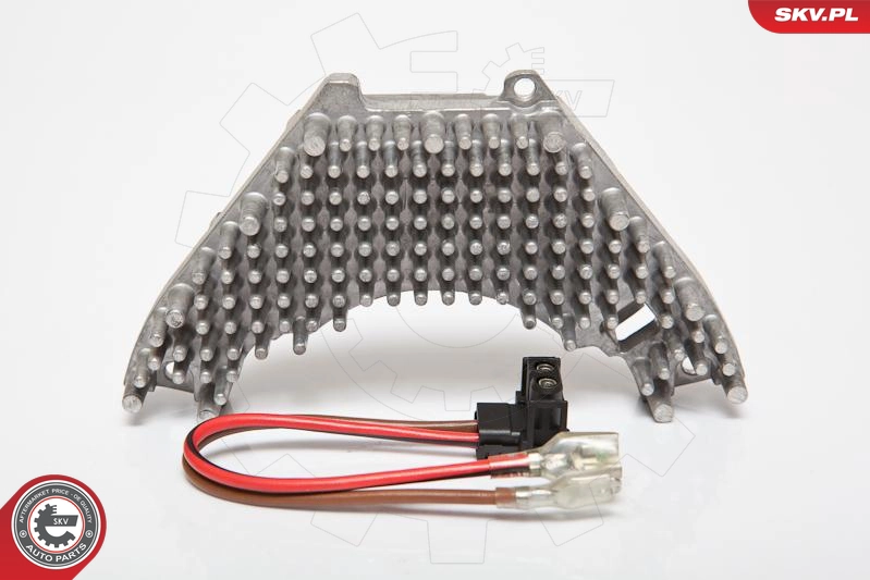 95SKV024