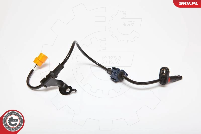 06SKV176