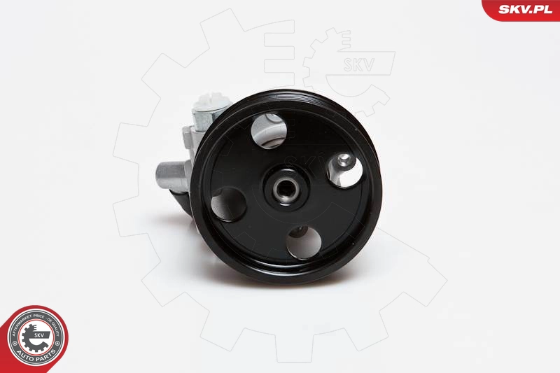 10SKV024