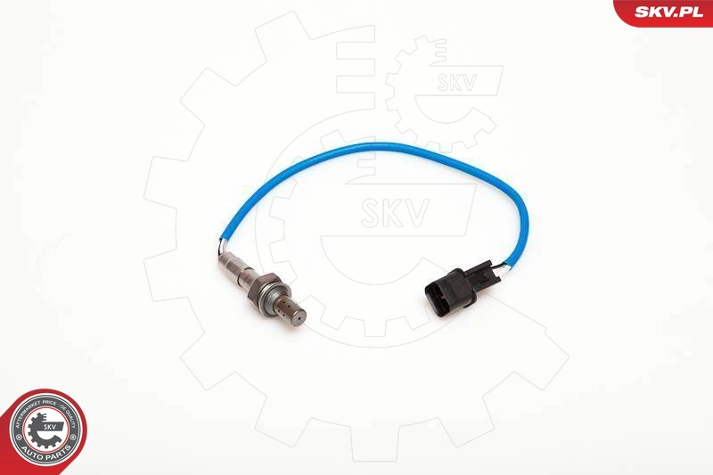 09SKV024