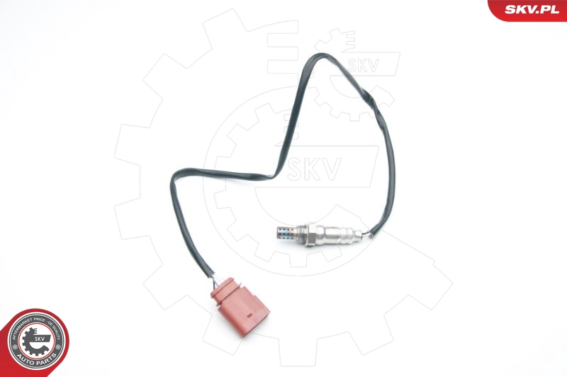 09SKV705