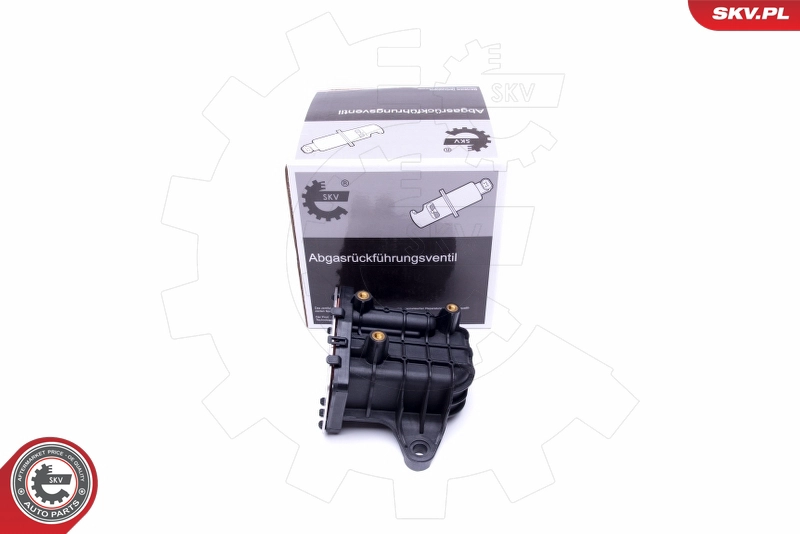DSZQ9D475DA