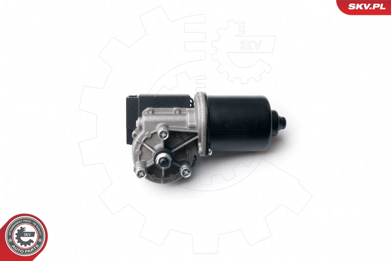 19SKV024
