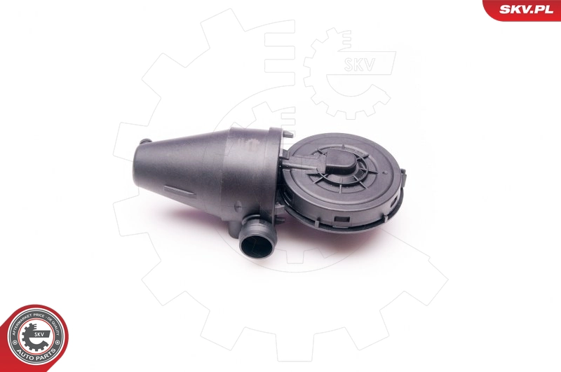 31SKV038