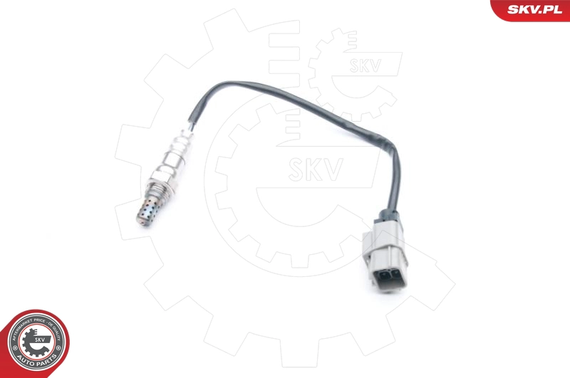 09SKV732
