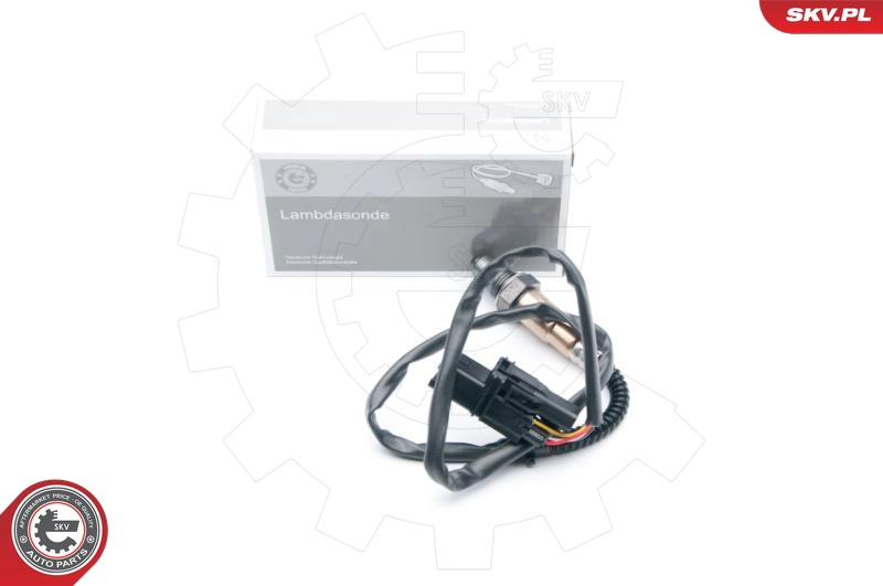 09SKV856