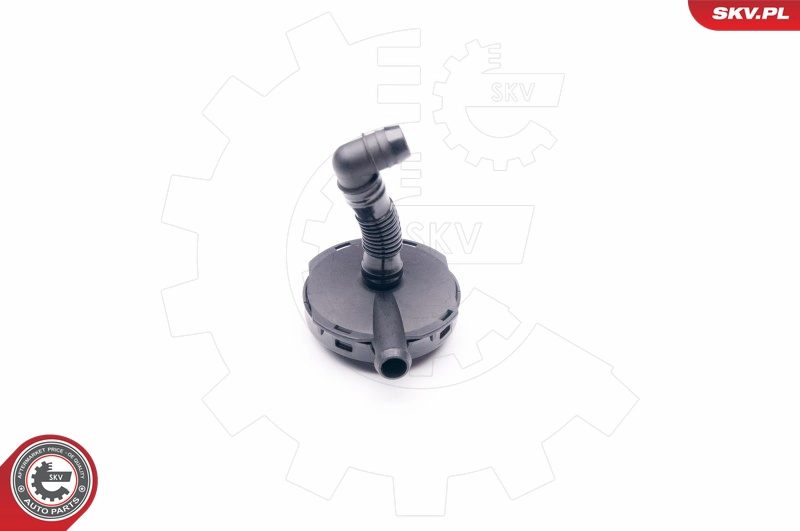 31SKV024