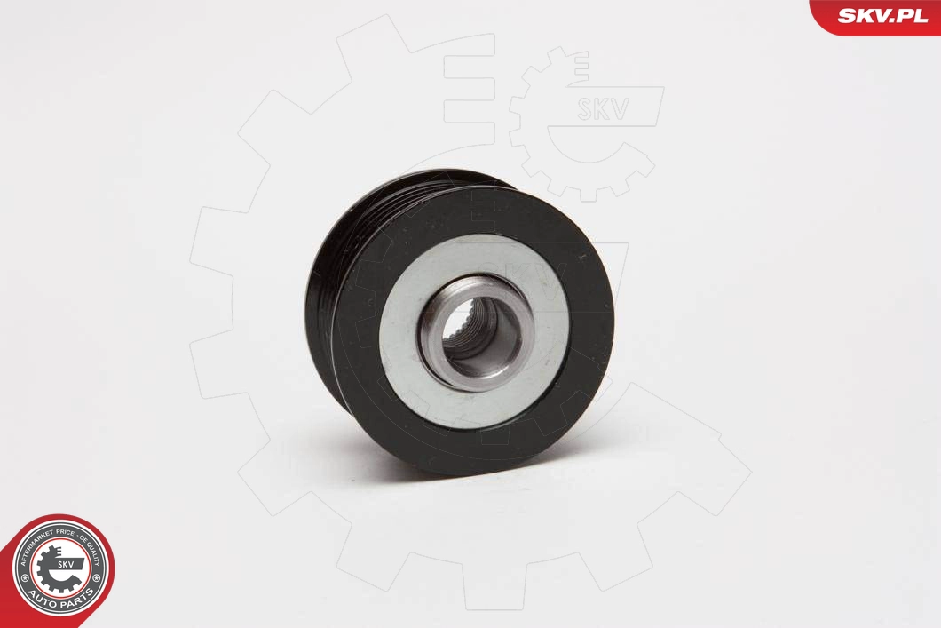 11SKV013